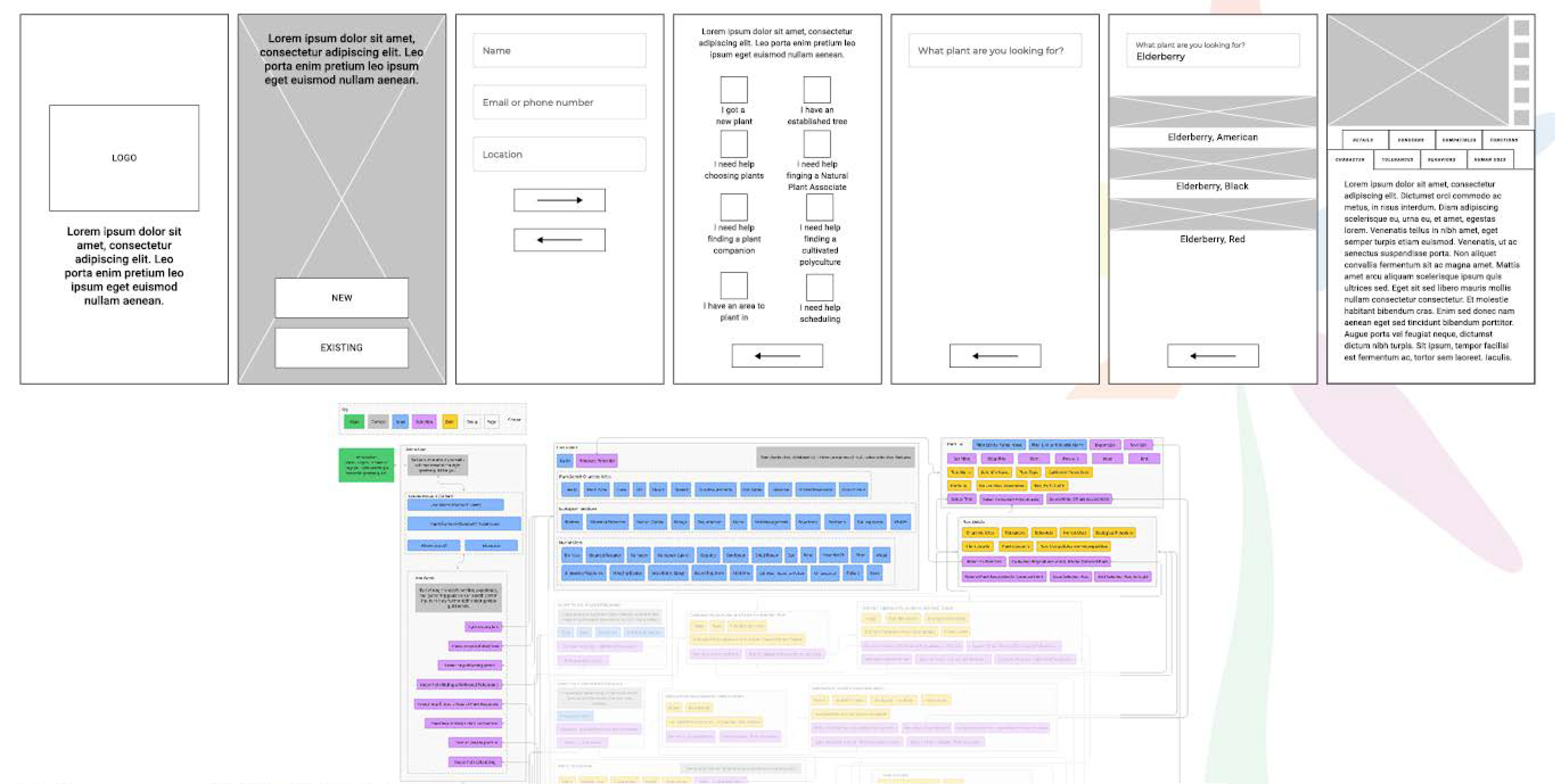 Low Fidelity Wireframe