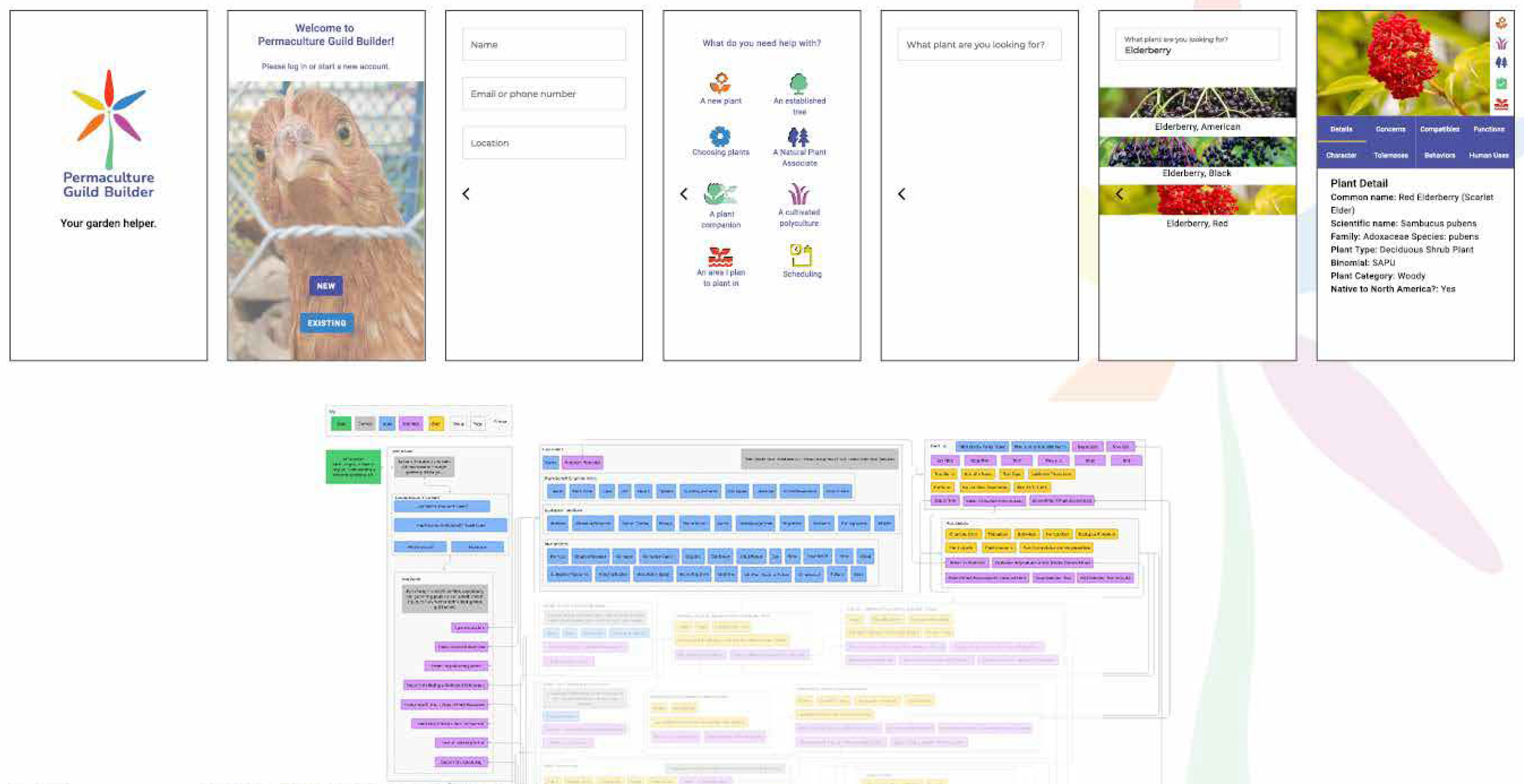 High Fidelity Wireframe